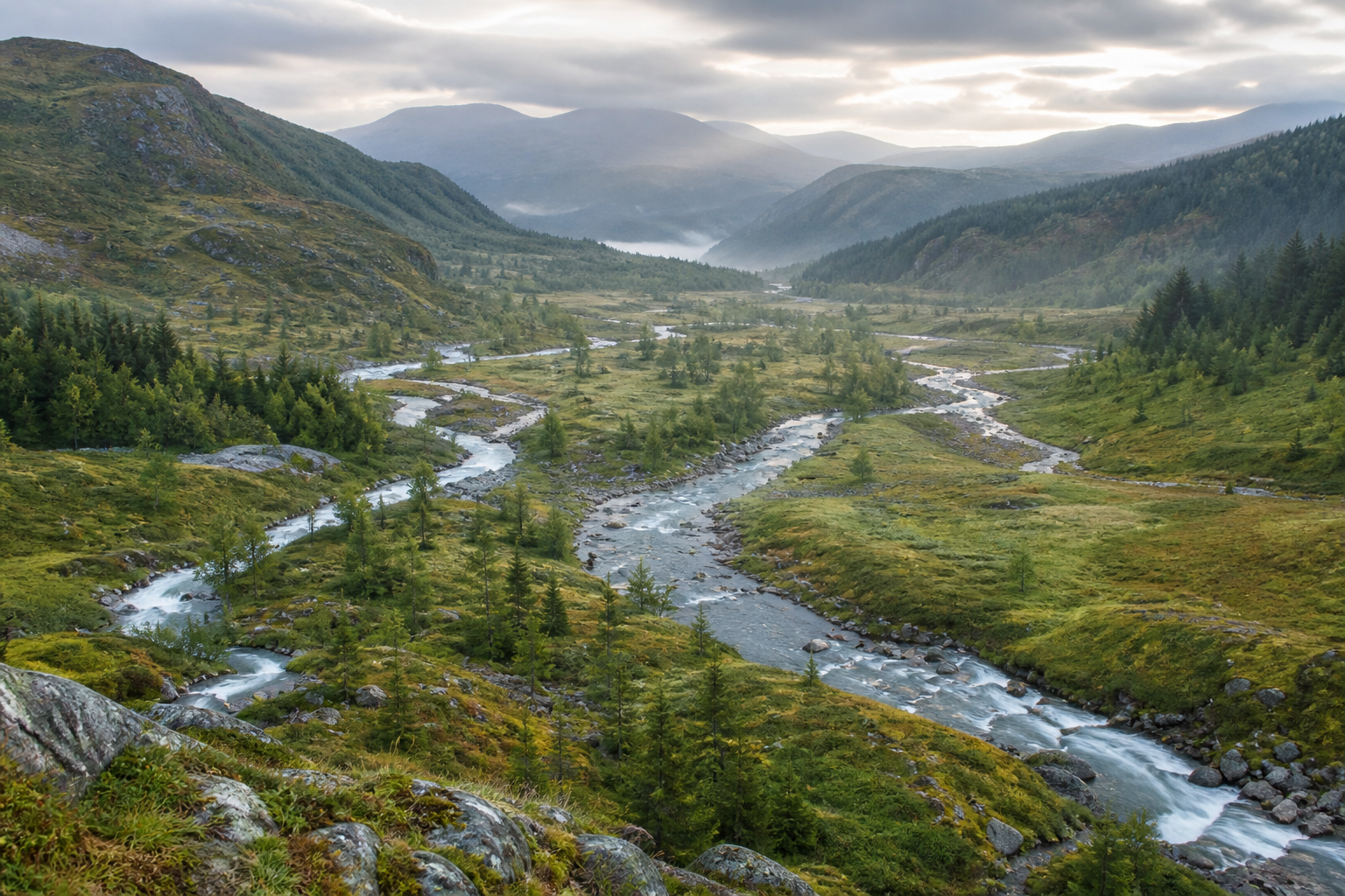 Mountain streams converging through a green valley